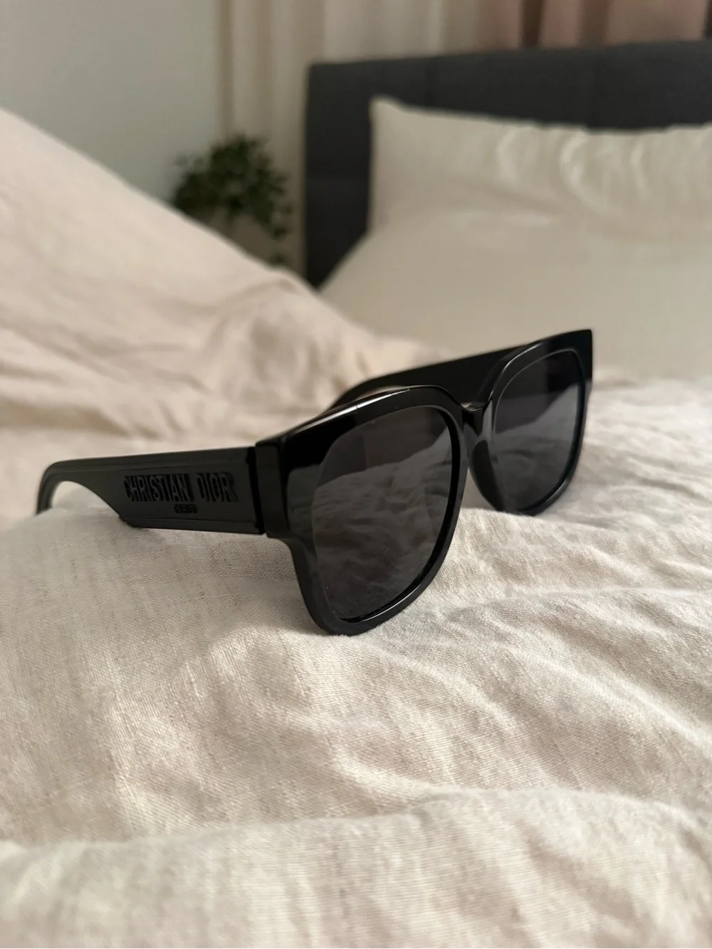 Dior wildior bu